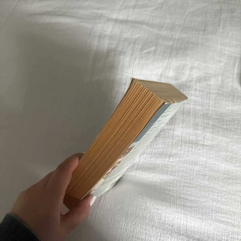 The Iliad