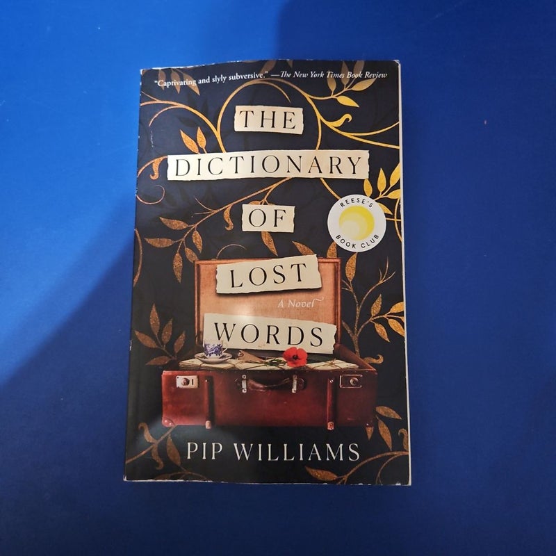 The Dictionary of Lost Words