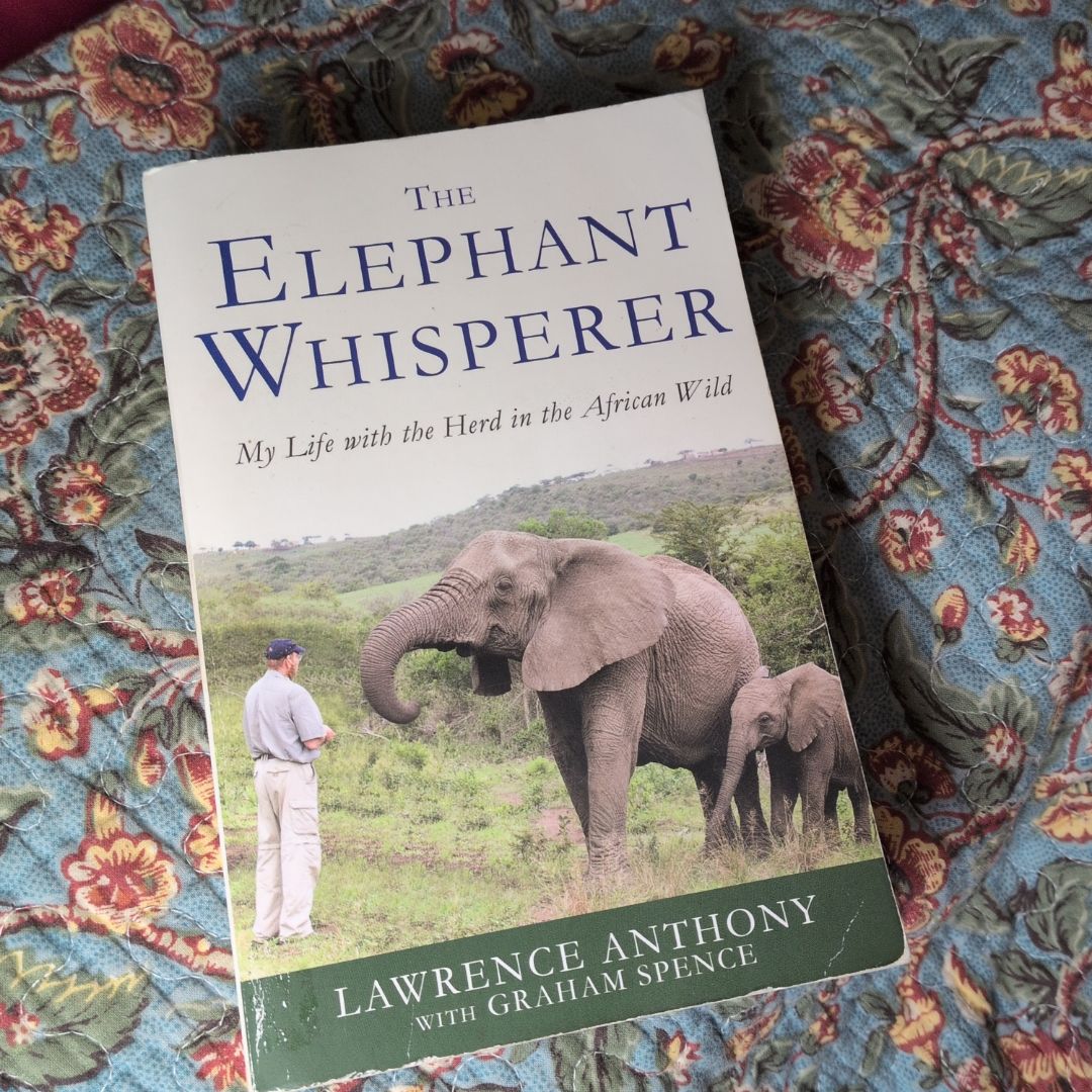 The Elephant Whisperer