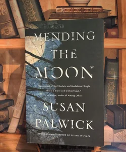 Mending the Moon