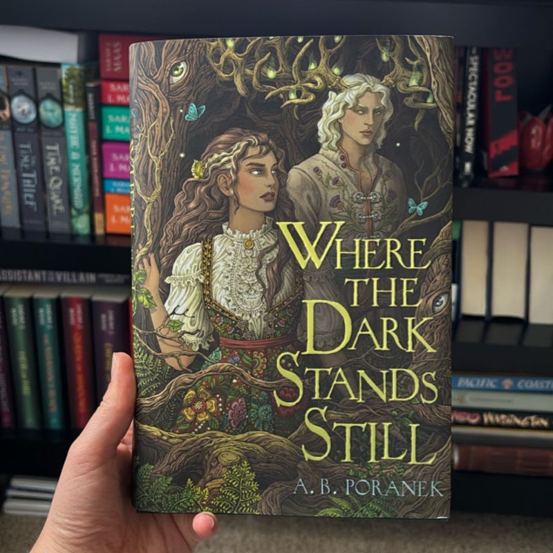 Where the Dark Stands Still