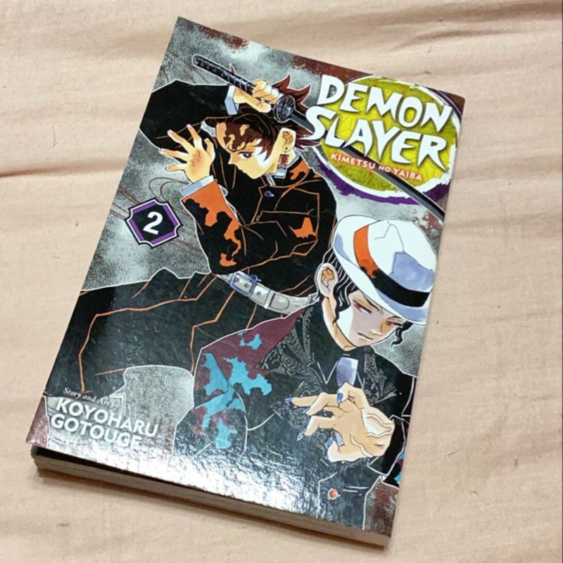 Demon Slayer: Kimetsu No Yaiba, Vol. 2