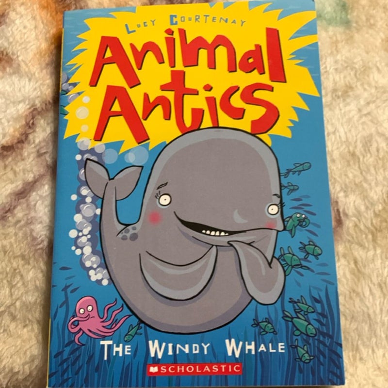The Windy Whale