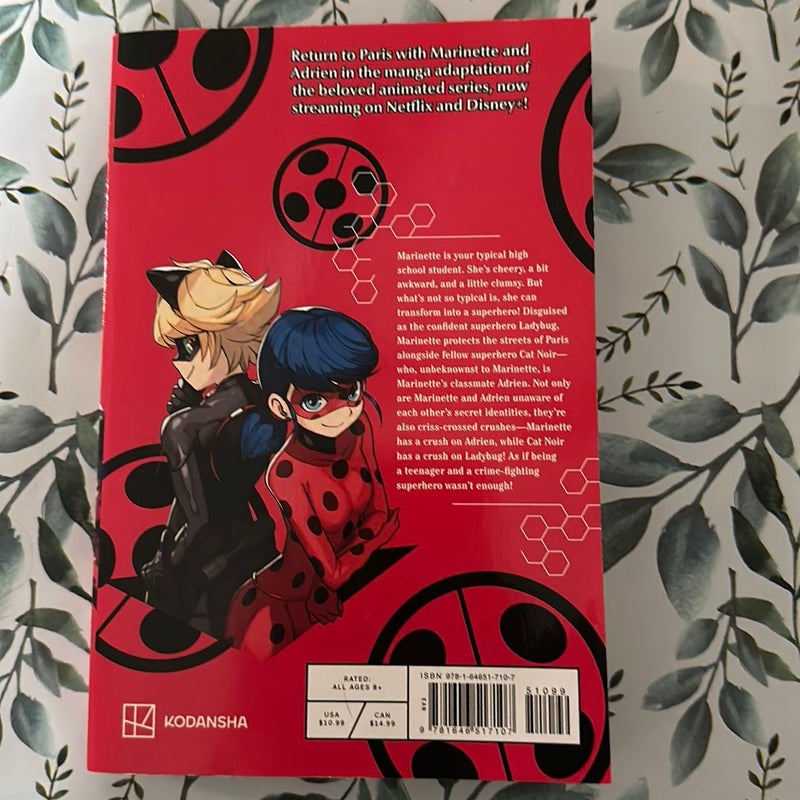 Miraculous: Tales of Ladybug & Cat Noir (Manga) 2 - by Koma Warita  (Paperback)