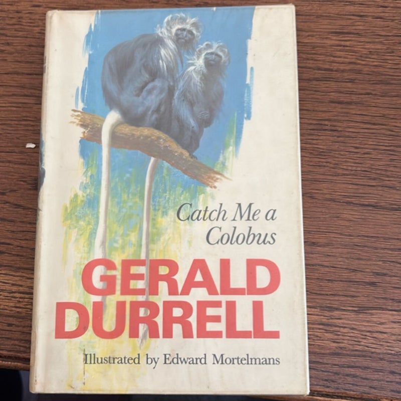 Catch me a Colobus