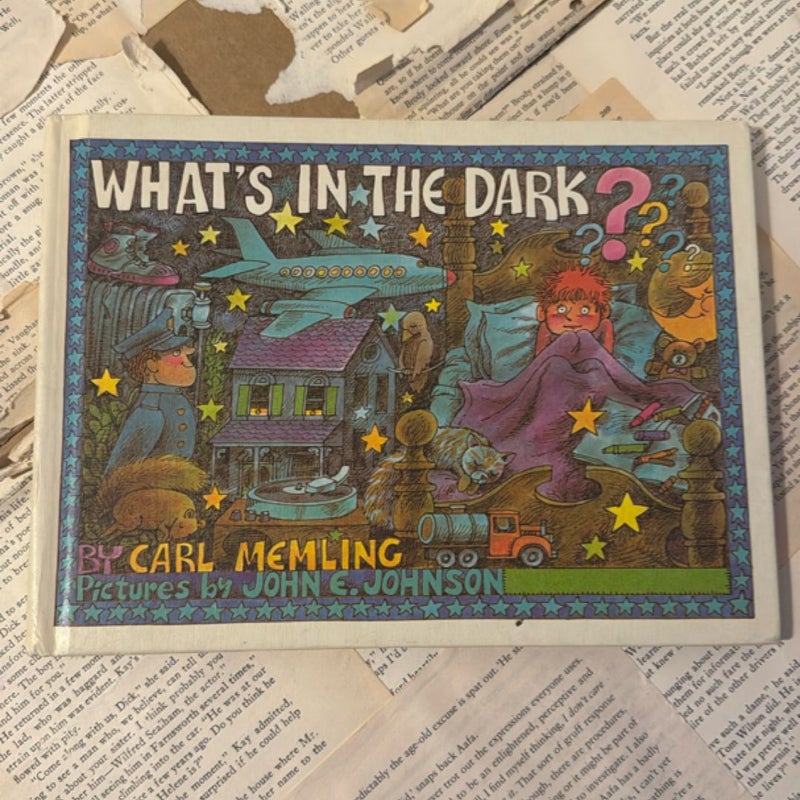 What’s in the Dark