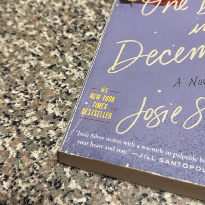 One Day in December