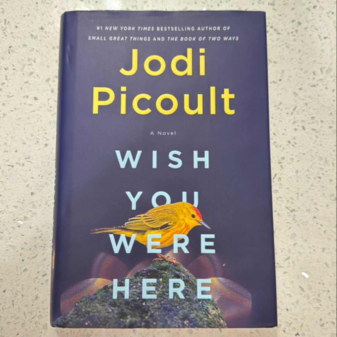 Sale image for a96f86dd-e1ca-44d7-b01f-fe7fabbec17c-aOoIZ4lwsXOdkRk5FMKHSXh8pcs2