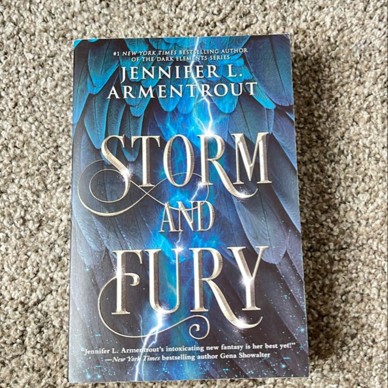 Storm and Fury