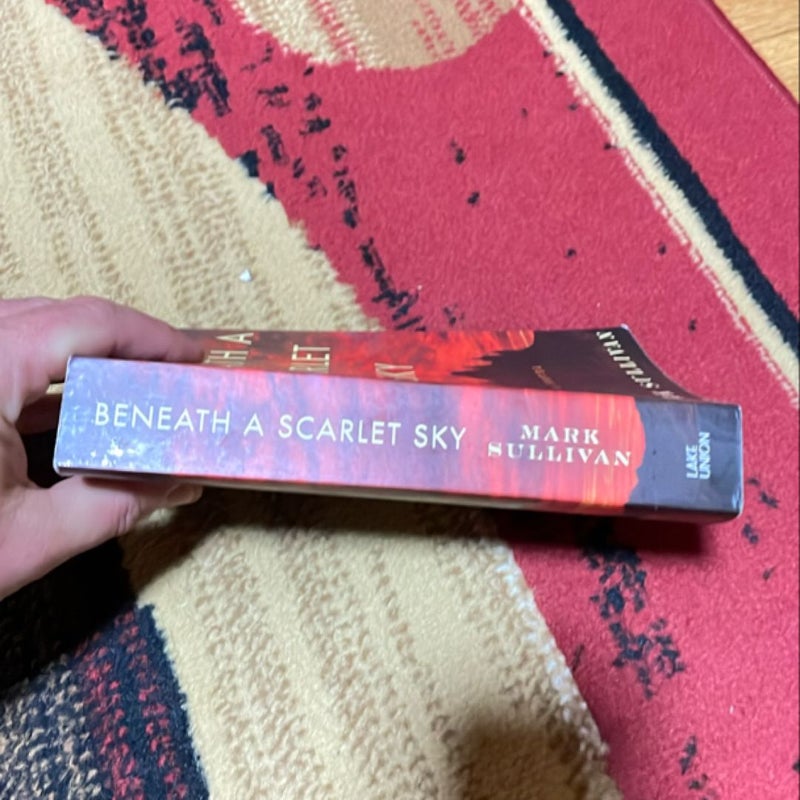 Beneath a Scarlet Sky