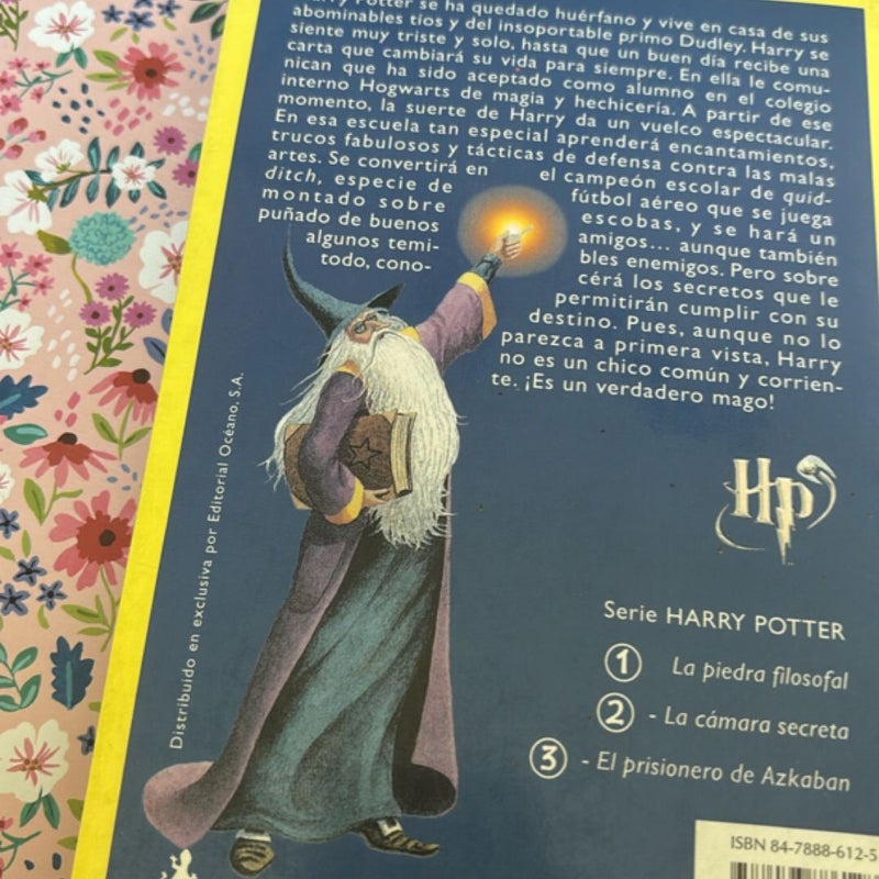 Harry Potter y la Piedra Filosofal