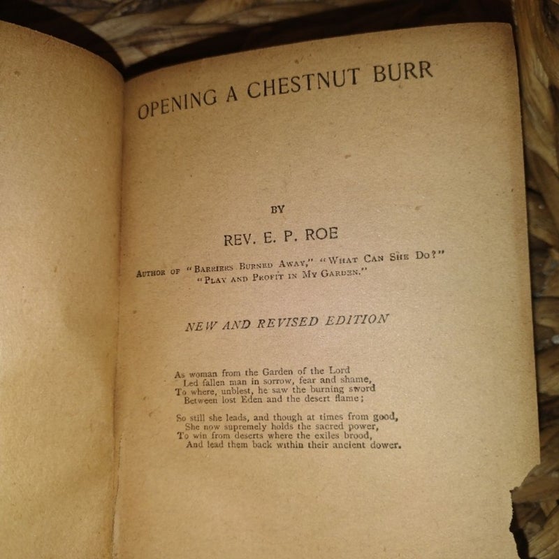 Opening a Chestnut Burr