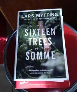 The Sixteen Trees of the Somme