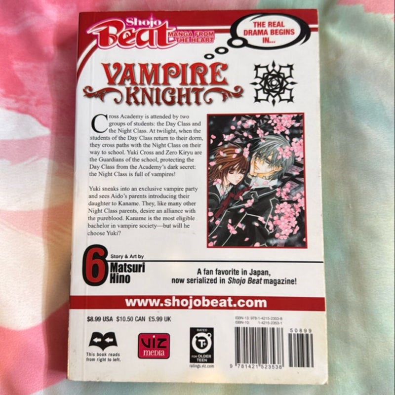 Vampire Knight, Vol. 6