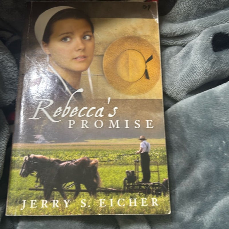 Rebecca's Promise