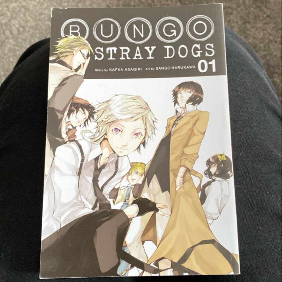 Bungo Stray Dogs, Vol. 1