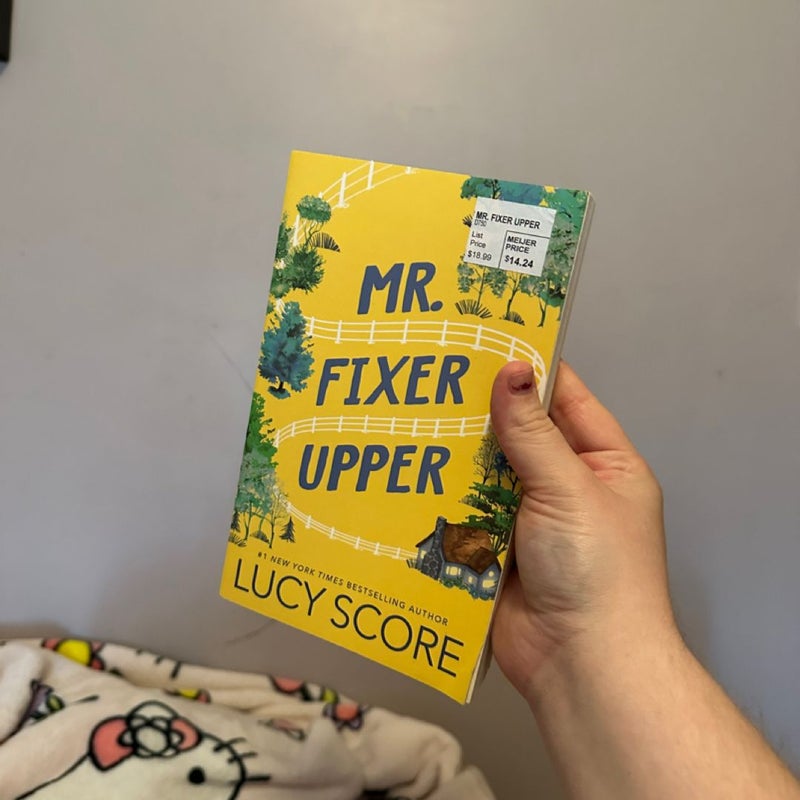 Mr. Fixer Upper