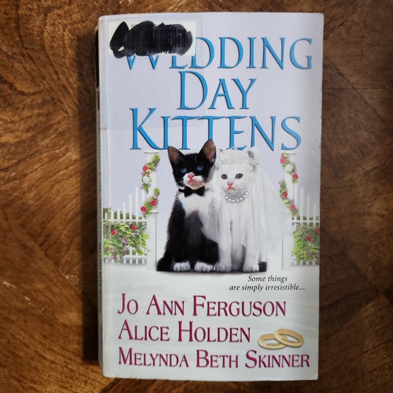 Wedding Day Kittens