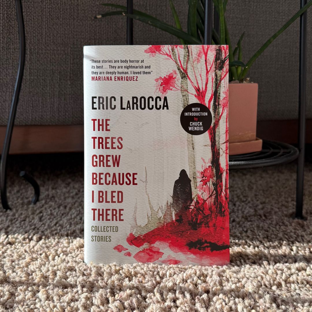 Sale image for d36e6b65-0c83-458b-aca0-609bdbbe4a78-ACvxxk1iZ2eKGNJsiywxaqwj3Fi1