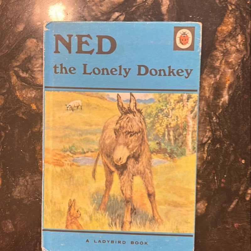 Ned the Lonely Donkey