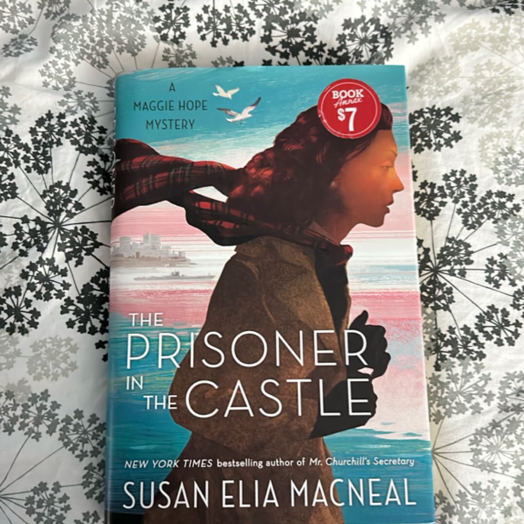 The Prisoner in the Castle