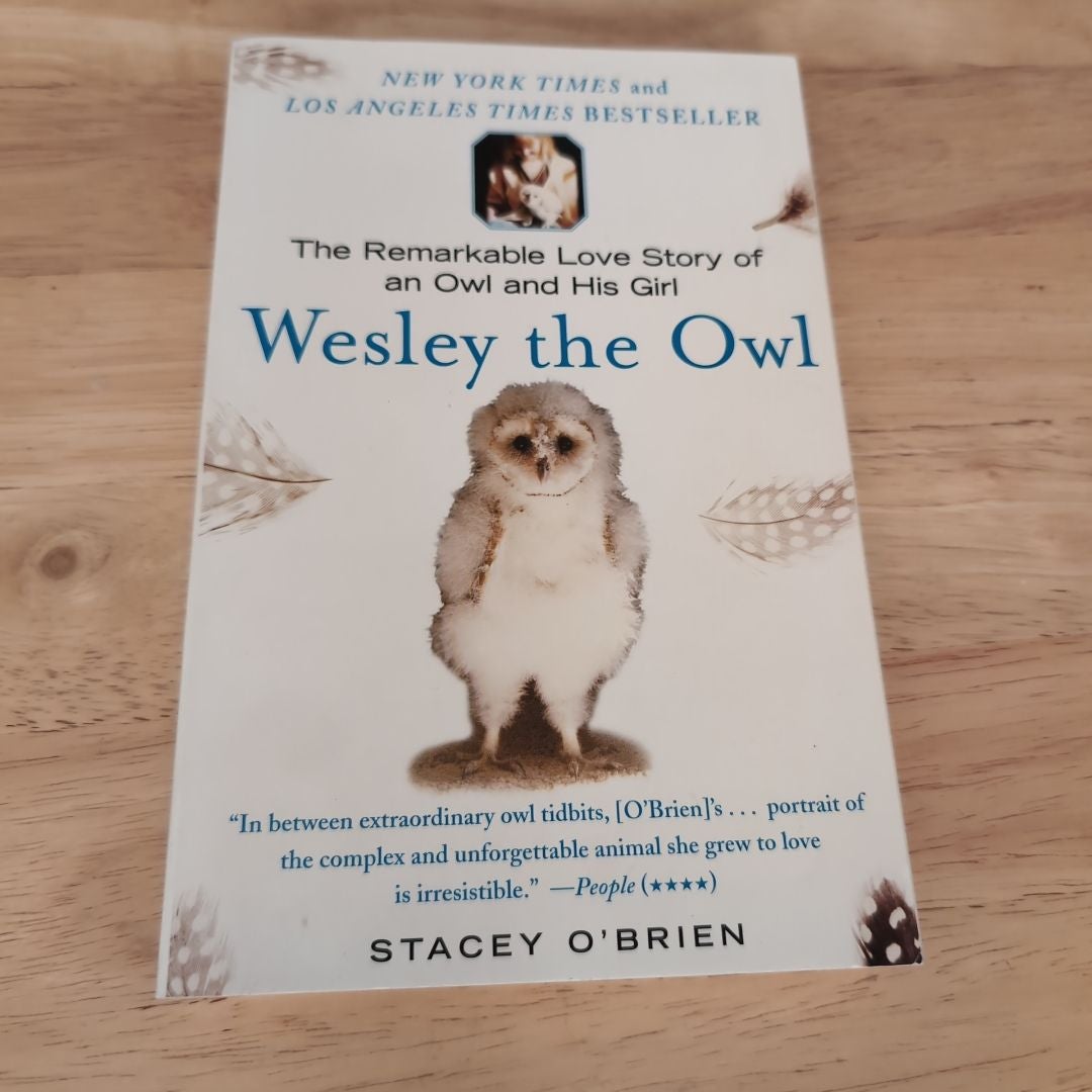 Wesley the Owl