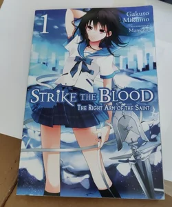 Strike the Blood, Vol. 1 (light Novel)
