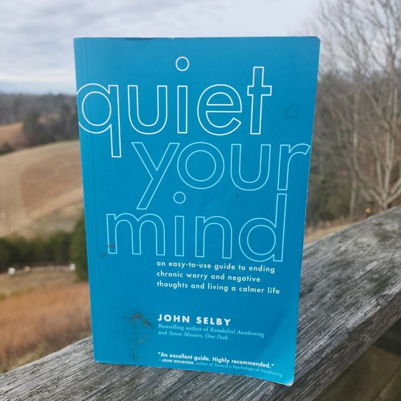 Quiet Your Mind