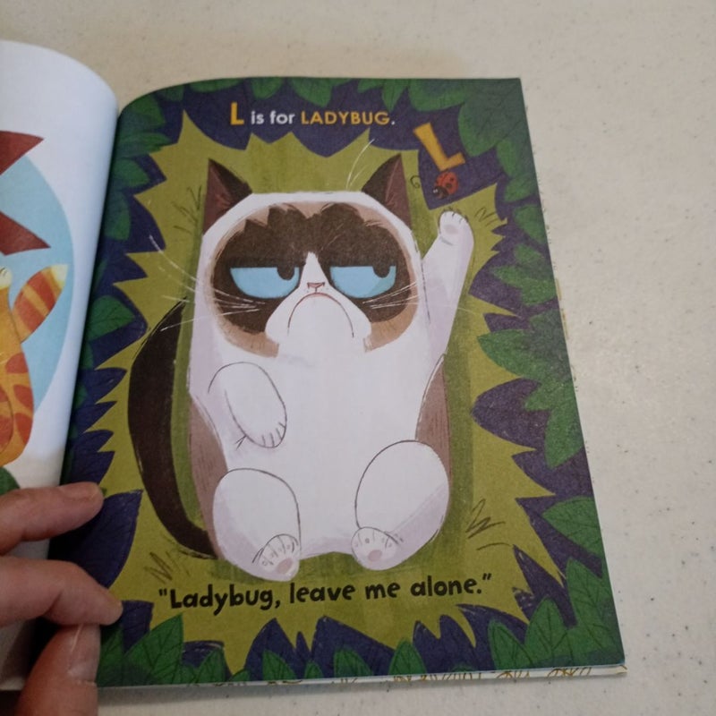 A Is for Awful: a Grumpy Cat ABC Book (Grumpy Cat)