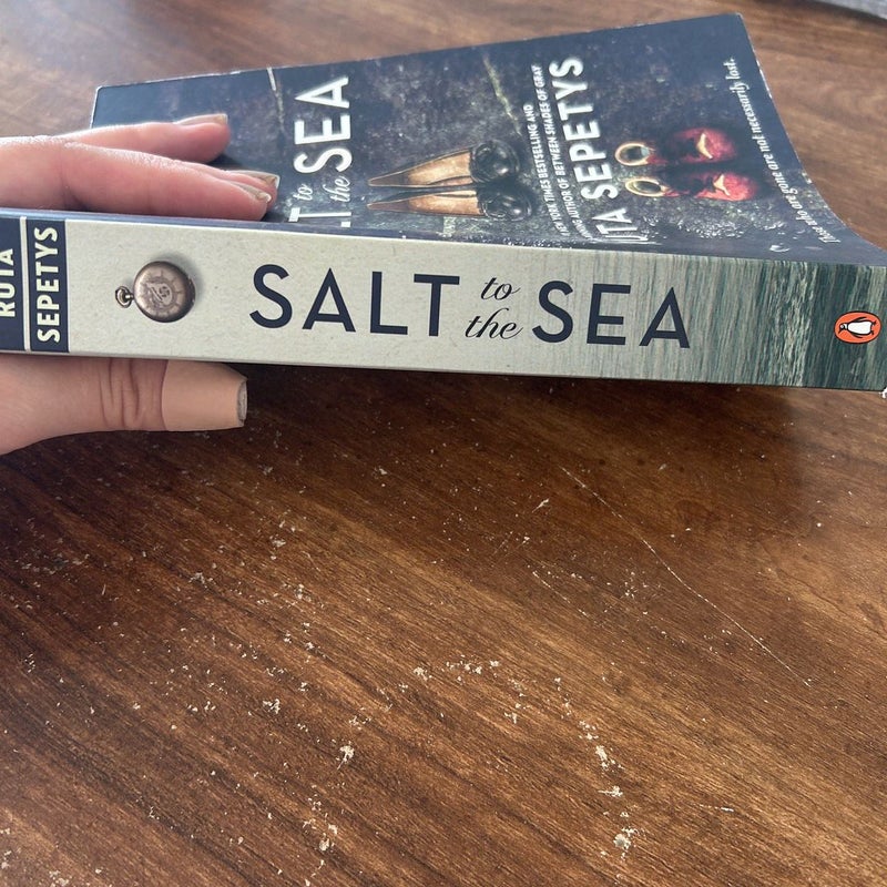 Salt to the Sea