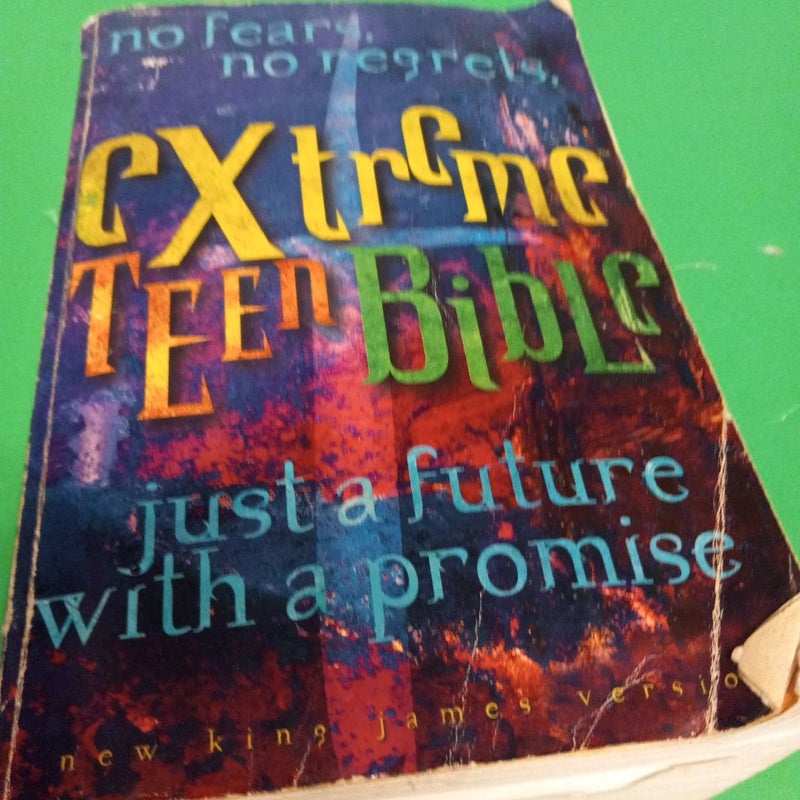Extreme Teen Bible