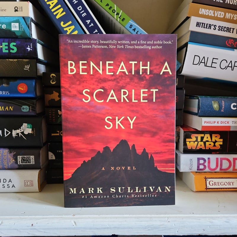 Beneath a Scarlet Sky