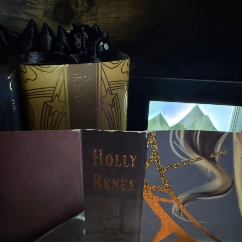 A Kingdom of Stars and Shadows Bookish Box SE *Wounded*
