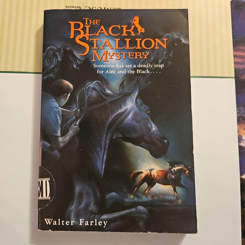 The black stallion mystery 
