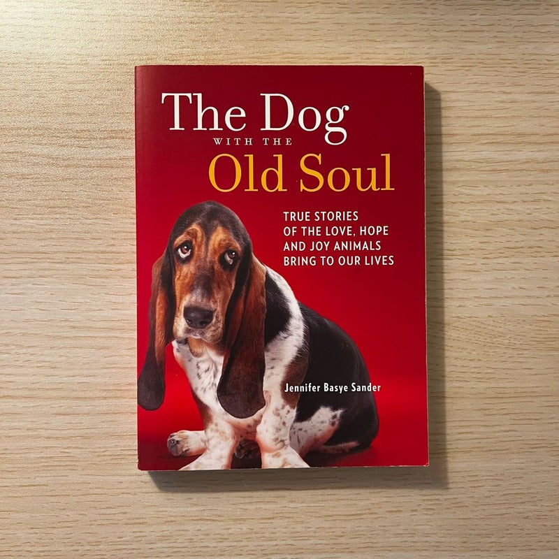 The Dog with the Old Soul
