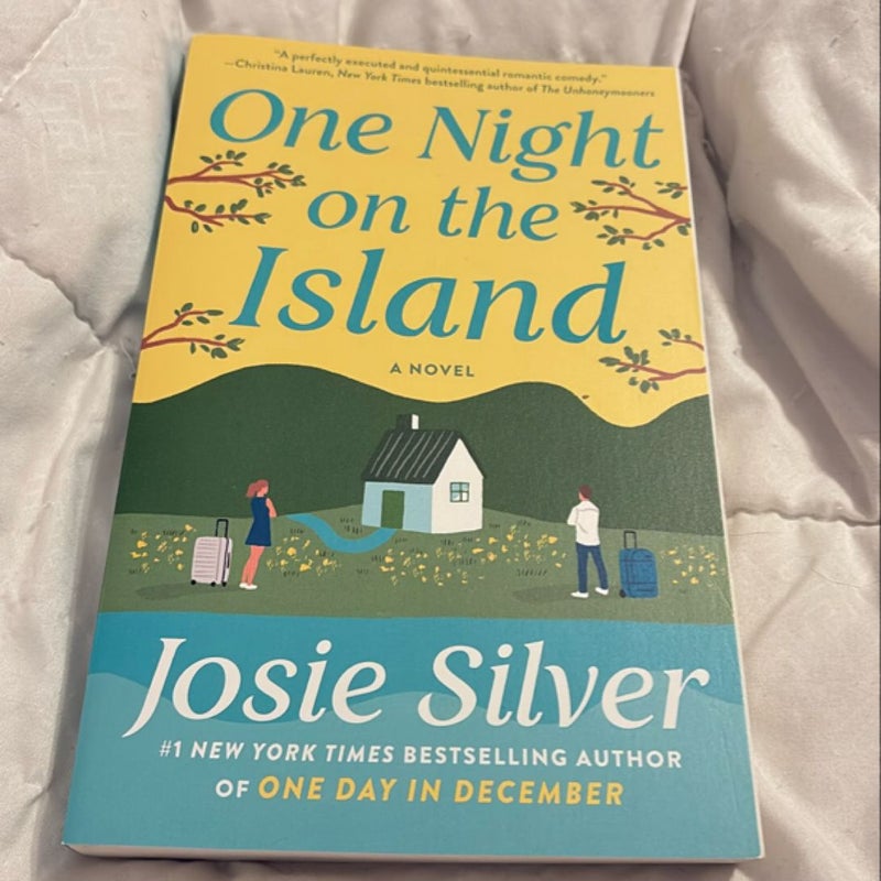 One Night on the Island