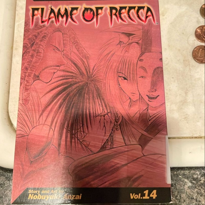 Flame of Recca, Vol. 14