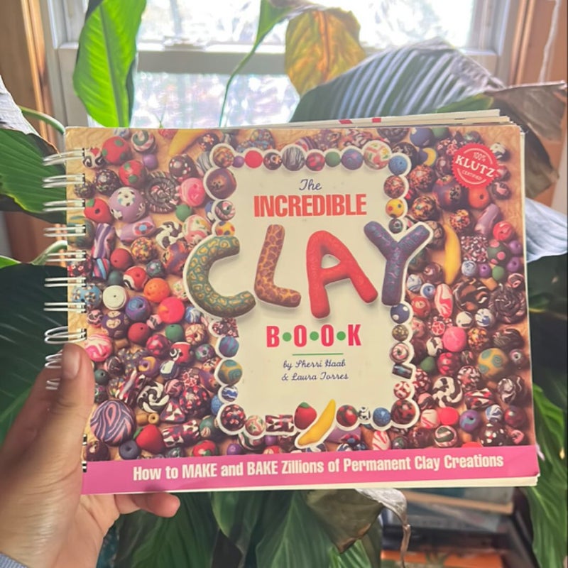 The Incredible Clay Book