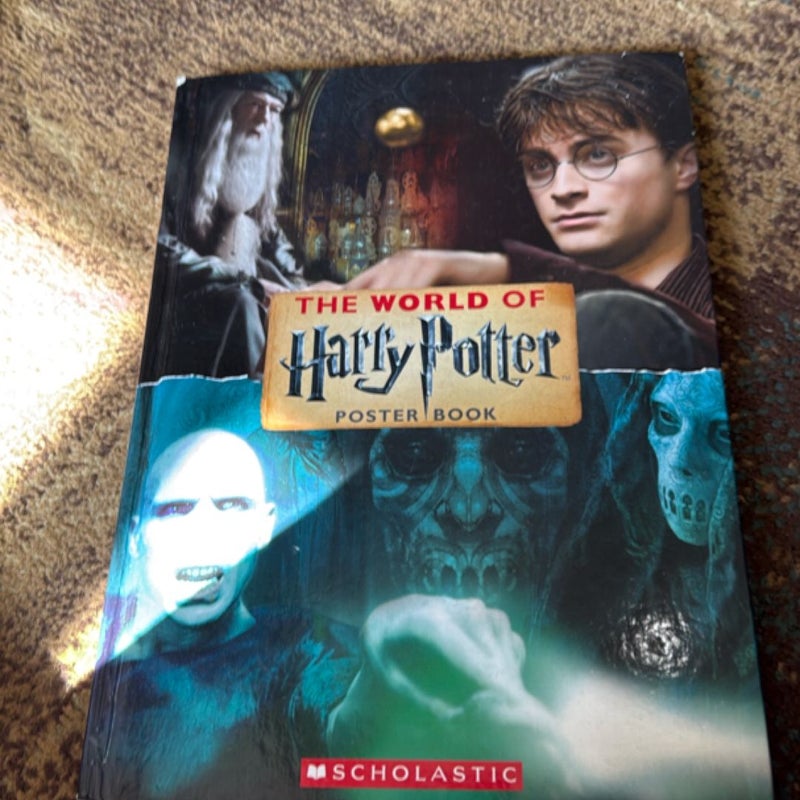 The World of Harry Potter