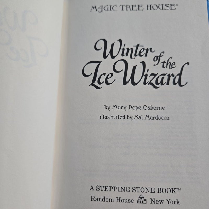 Winter of the Ice Wizard