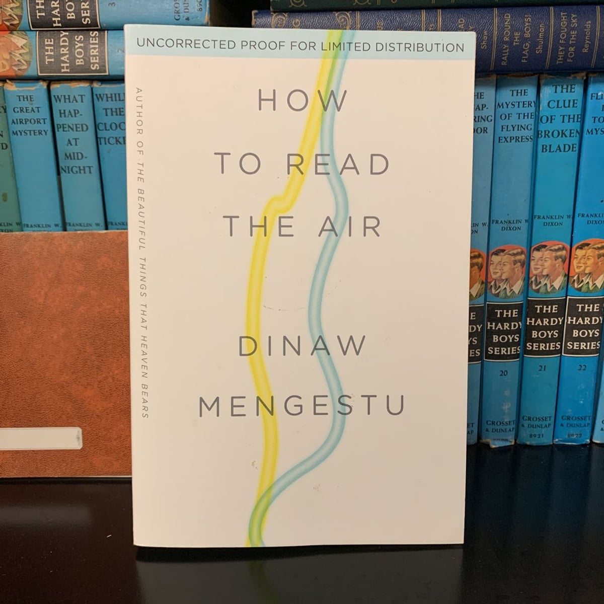 how-to-read-the-air-by-dinaw-mengestu-paperback-pangobooks