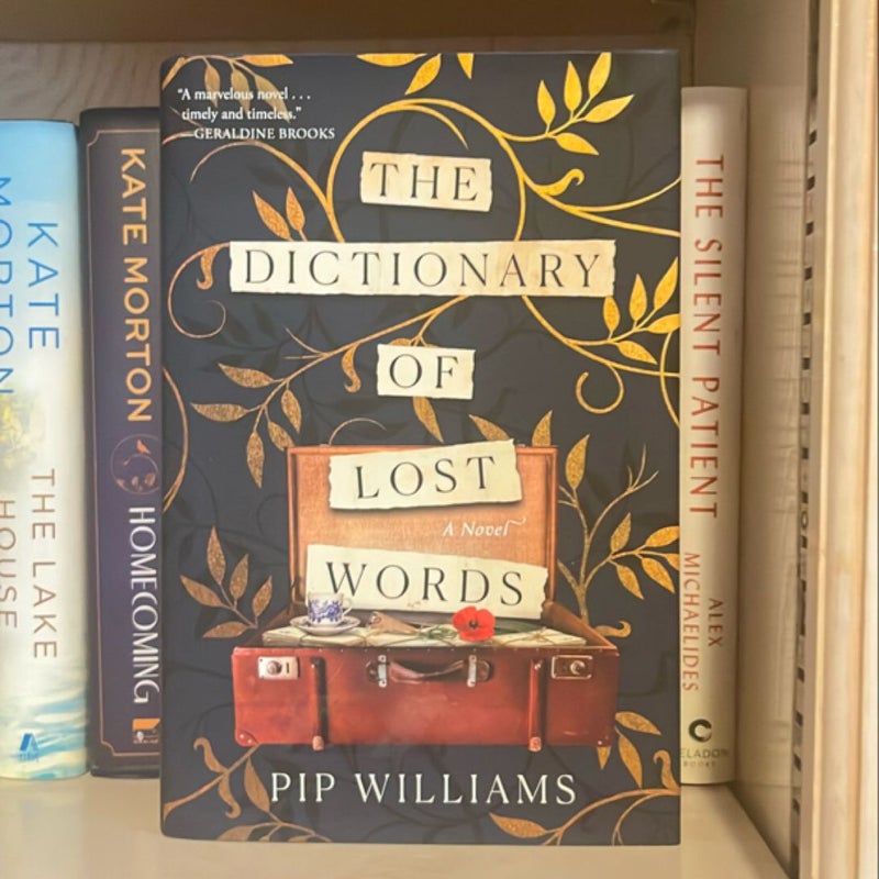 The Dictionary of Lost Words