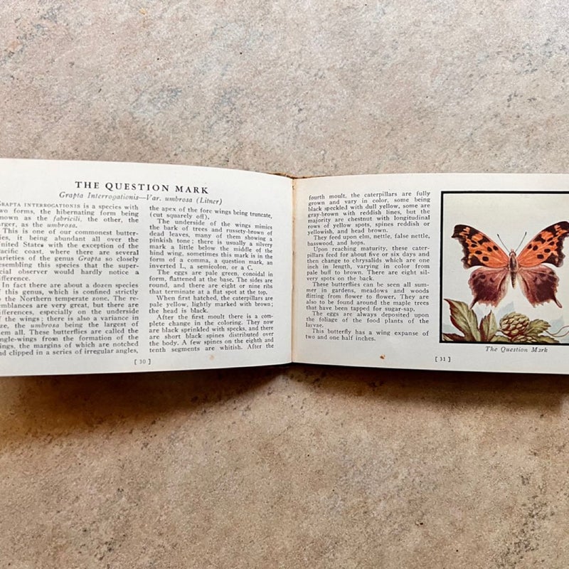 Butterflies of America (1934)