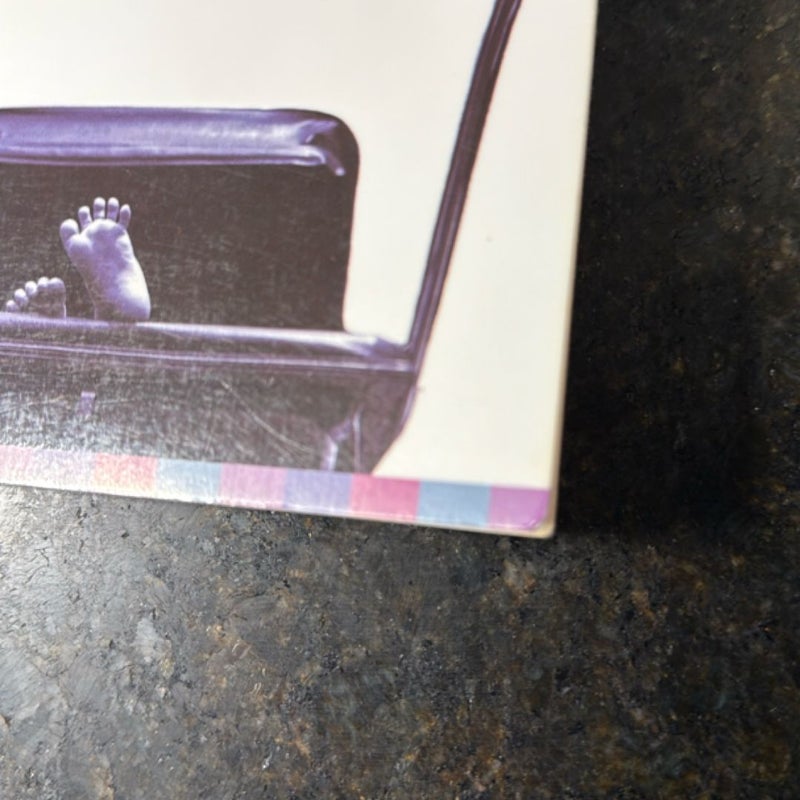 Summer of My Amazing Luck