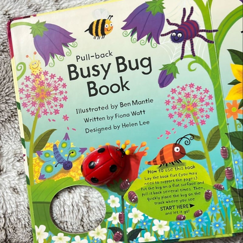 Busy Bug Book