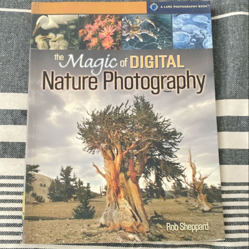 The Magic of Digital Nature Photography