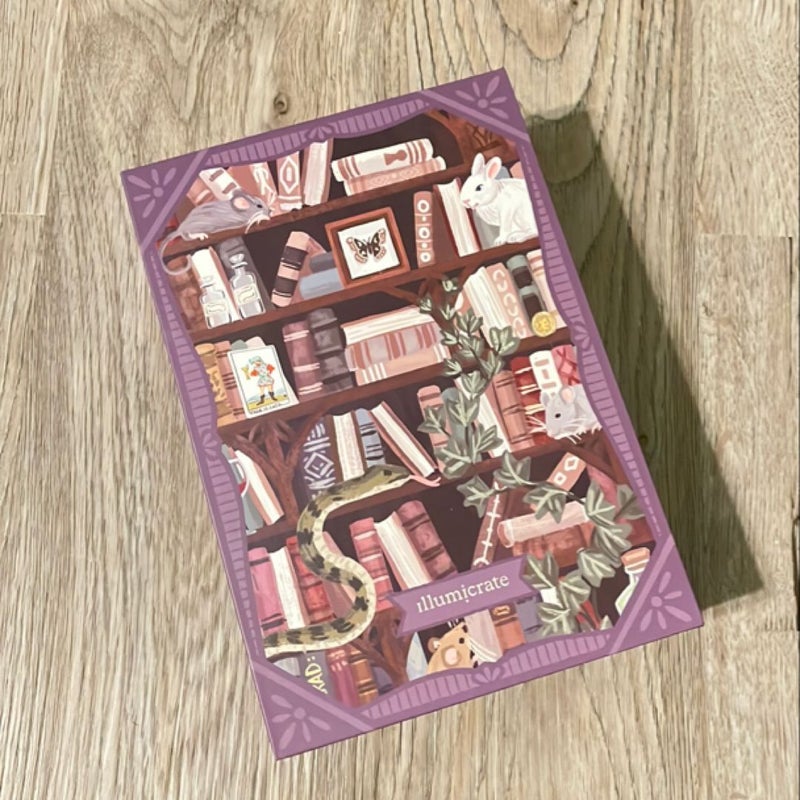 The Dark Academia Bookcase Puzzle