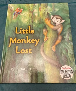 Little monkey lost 