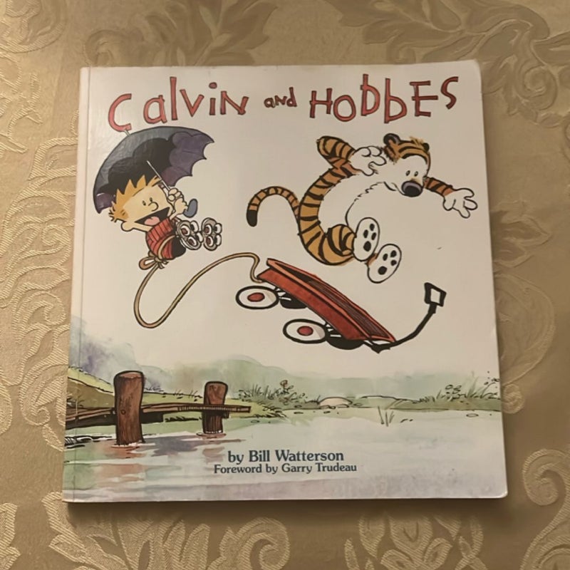 Calvin and Hobbes