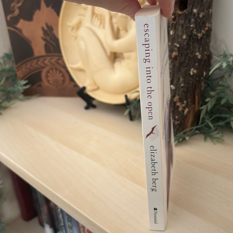 Escaping into the Open